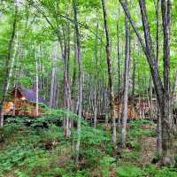 Log Cabin Shops in Sapporo