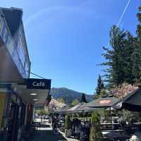 ニュージーランドで温泉に入れる？ハンマースプリングス🌸