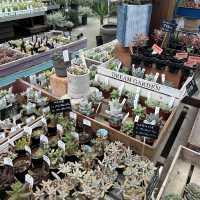 植物園！？素敵すぎる園芸ショップ！