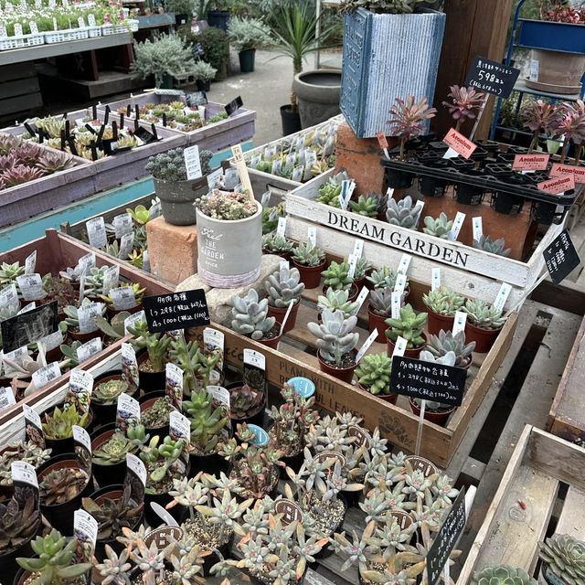 植物園！？素敵すぎる園芸ショップ！
