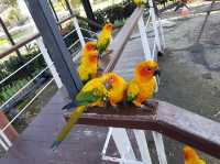 The field animal dream สวนสัตว์น่ารักใน จ.เพชรบุรี