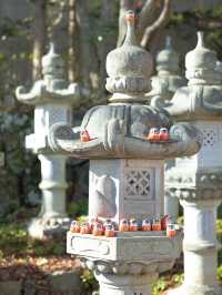 【大阪】必勝祈願ならここ！ダルマだらけの勝尾寺