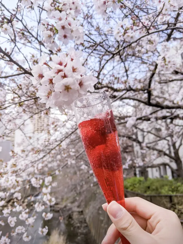 【東京櫻花美食】目黑川被櫻花染紅了😍 享受櫻花節！