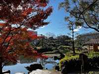 Quiet and peaceful well maintained Garden