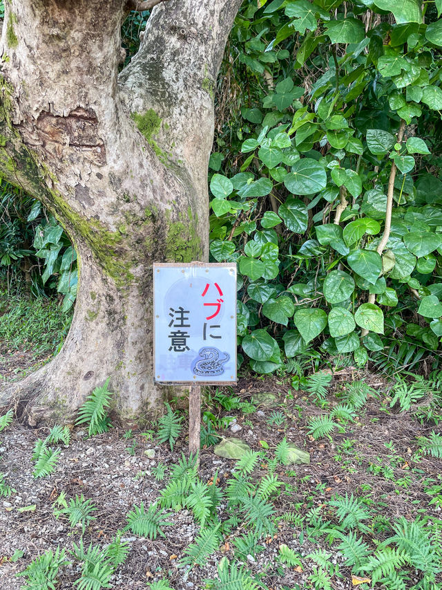 【沖縄】浜比嘉島にある神聖なるパワースポット