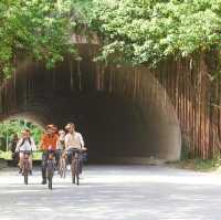 Ninh Bình Tam Coc Mua Cave Full Day 