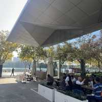 上海世紀公園
