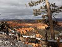 Unbelievable other worldly views in Bryce 