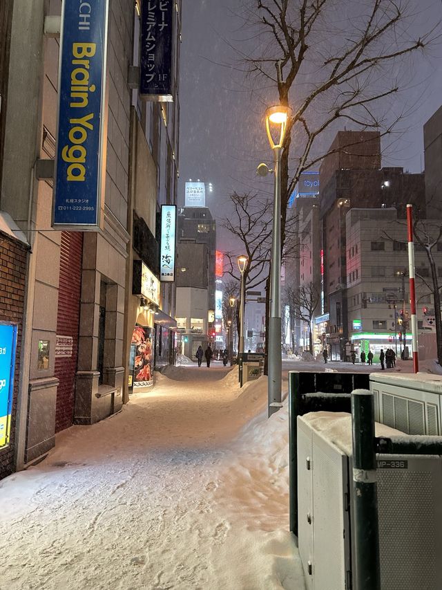 감성가득 삿포로 스스키노 니카상거리❄️