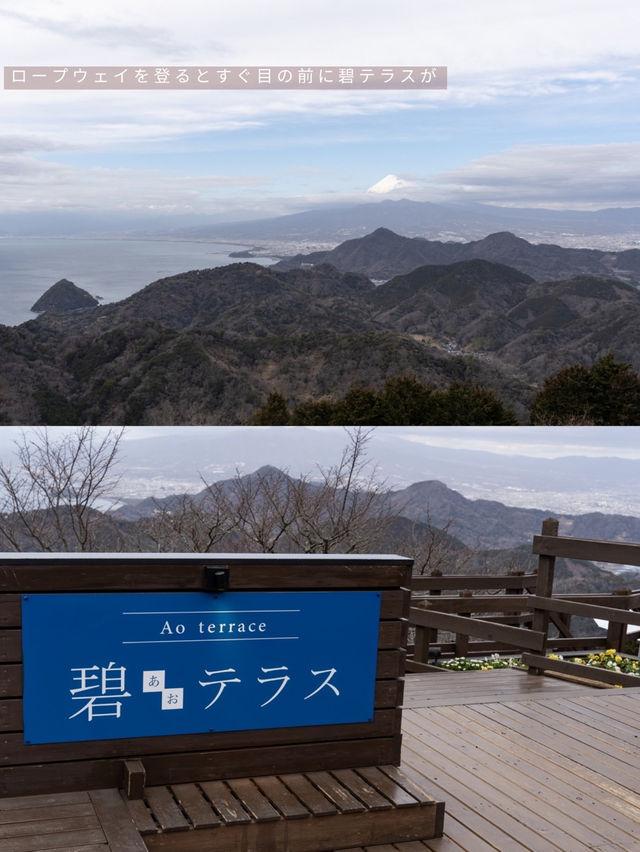 【静岡県/伊豆の国】ここ行かなきゃ損！穴場すぎる天空のお花見スポット