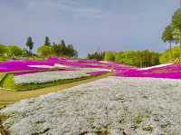 Hitsujiyama Park