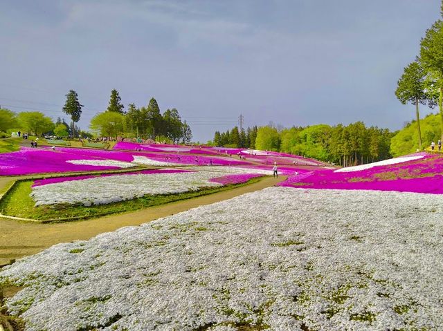 Hitsujiyama Park