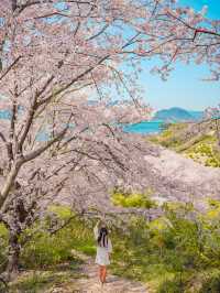 【広島】本当は教えたくない！瀬戸内海の離島にある絶景すぎる桜のトンネル！