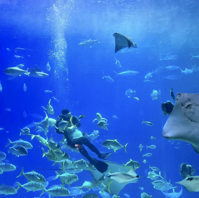 「倫敦海洋生物水族館」：驚嘆景點，深入瞭解海洋生物