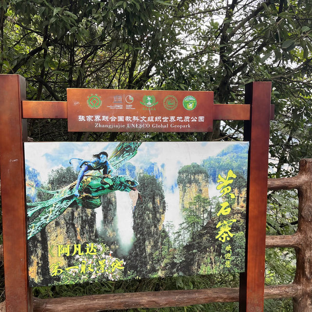中国張家界　国家森林公園 アバターの世界