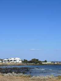 ทะเลลับๆใกล้เมลเบิร์น Williamstown beach