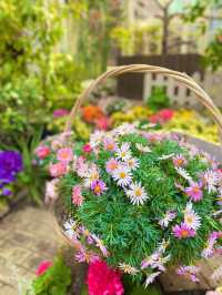 美しすぎる花の空間！神戸布引ハーブ園絶対外せないグラスハウス