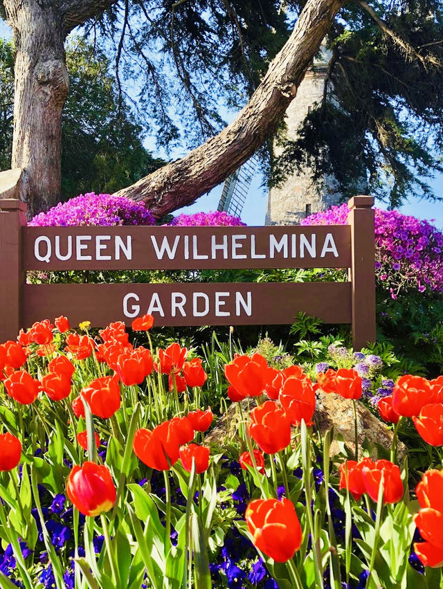 Queen Wilhelmina Garden