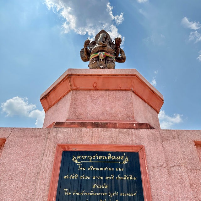 โลกของช้างแห่งเมืองสุรินทร์
