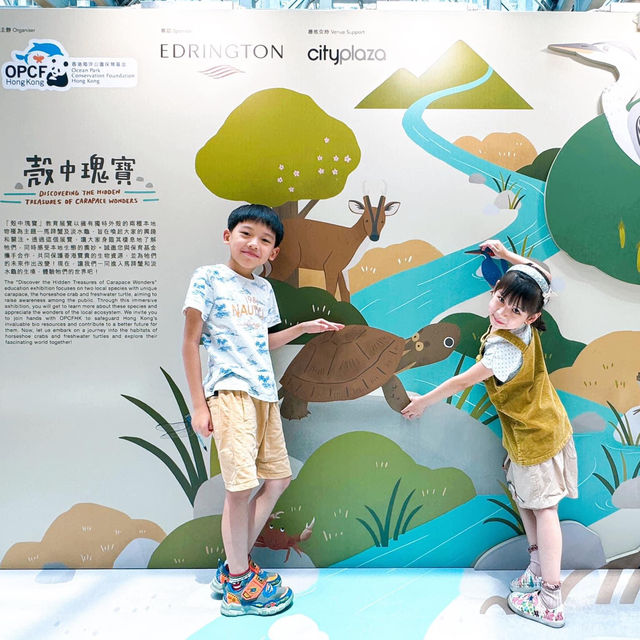 🌊香港海洋公園保育基金 X 太古城中心🎪