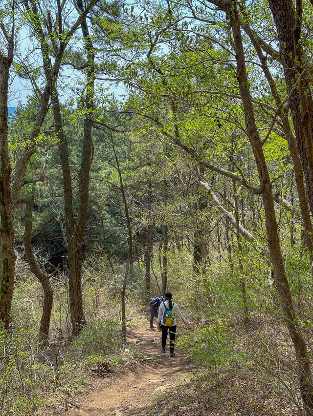 초보자도 등산할 수 있는 부산 황령산 등산코스💚