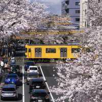 Nakano Broadway