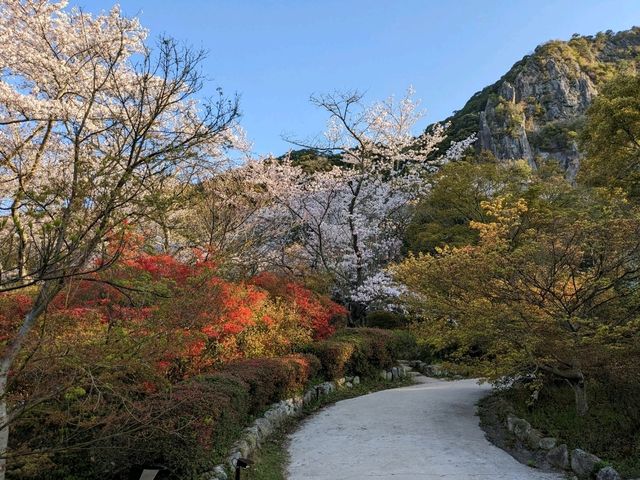 日本九州-大人小孩都愛的：御船山樂園飯店