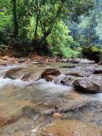 Bukit Lawang Ecotourism