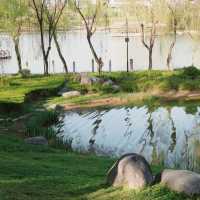 「冬山河親水公園」自然綠洲