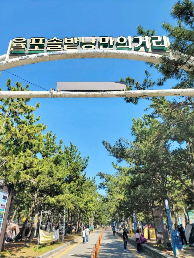 손하트 포토존과 바다보며 힐링하는 보성여행🩵