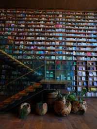 【大阪】ガラス張りと壁一面の本の空間が美しい本屋📕