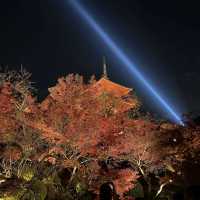 kiyomizu dera illumination 🏮🍁