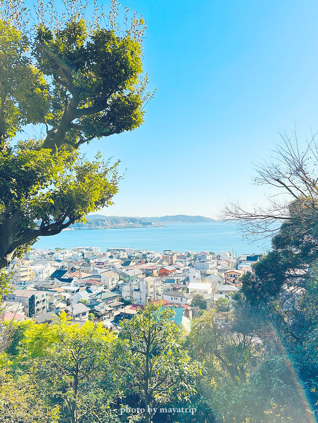 【神奈川/鎌倉】お寺の中にある絶景カフェ