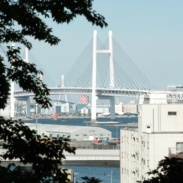 天保山～大阪市中心最佳海濱景點