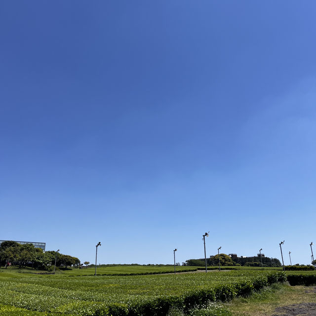 일상에서 떠나 제주