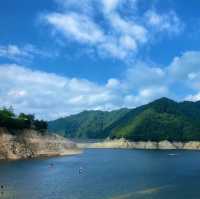 Akamine露營區🏕️探索綠林