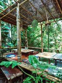 🌳ผ่อนคลายสบายใจกับ คาเฟ่บ้านต้นไม้ ☕