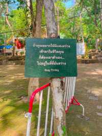 วัดอุโมงค์ | เชียงใหม่