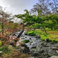 岡谷湖畔公園：春天好去處，適合漫步和欣賞大自然