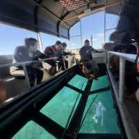 Great Barrier Reef Tour