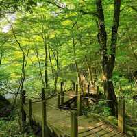 「春天踏青必去！象山步道，山谷城市景色一覽無遺！」