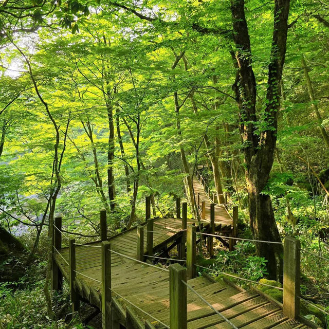 「春天踏青必去！象山步道，山谷城市景色一覽無遺！」