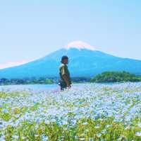 Mt.fuji 2024 #japan