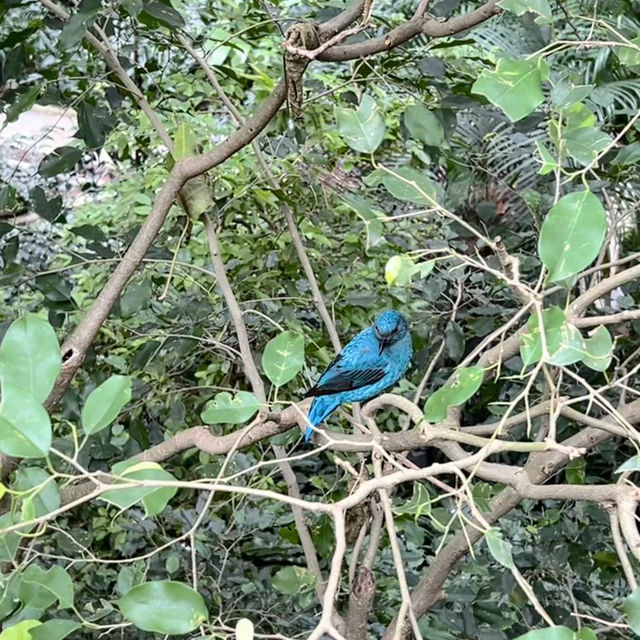 金融中心鬧市中的綠洲 - 香港公園