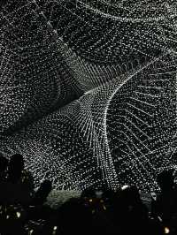 Immersive Museum @ Tokyo 