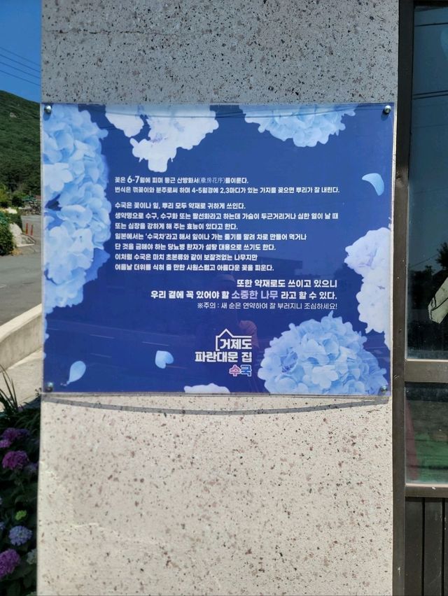 거제도에서 가장 유명한 대문집은 여기💙
