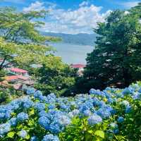 【長野県/岡谷市　色鮮やかな紫陽花が一面に広がる先には諏訪湖が見える絶景スポット✨】
