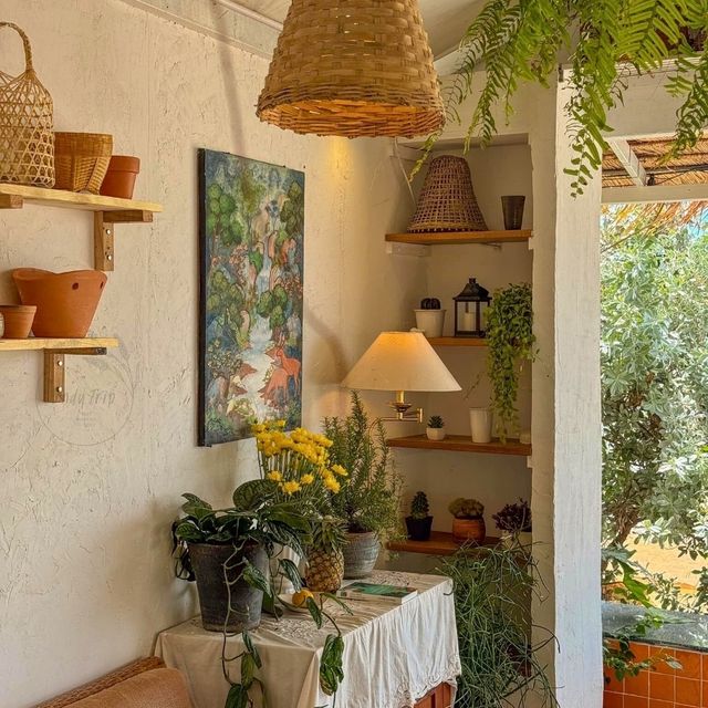 🌼Chaplu Cafe & Restaurant
