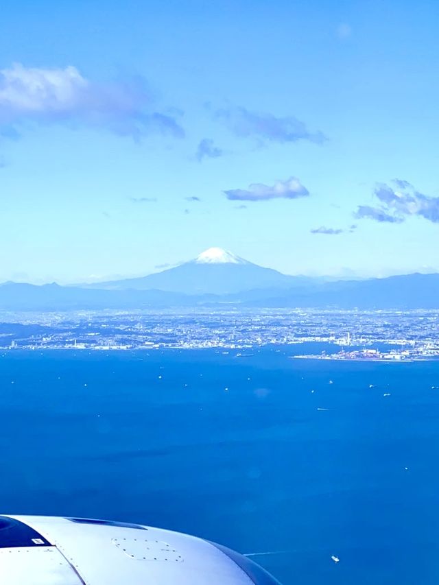 北海道　札幌観光　羽田へJAL最新鋭のA350-900で快適フライト！