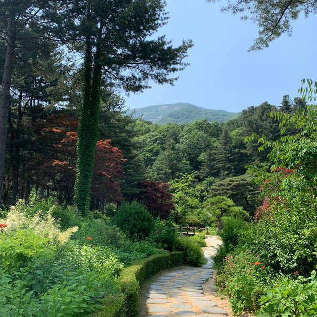 경기도의 여름을 느낄 수 있는 아침고요수목원